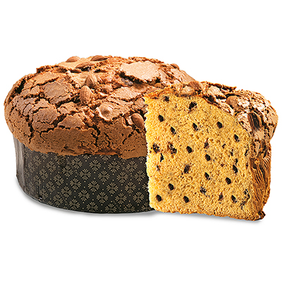 Albertengo, Panettone Ciuffo Cioccolato